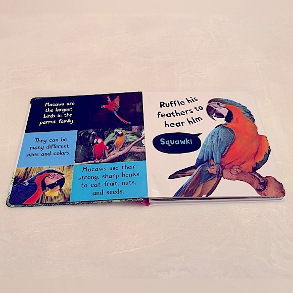 Noisy Animals My First Touch and Feel Sound Book - Picture 4 of 9